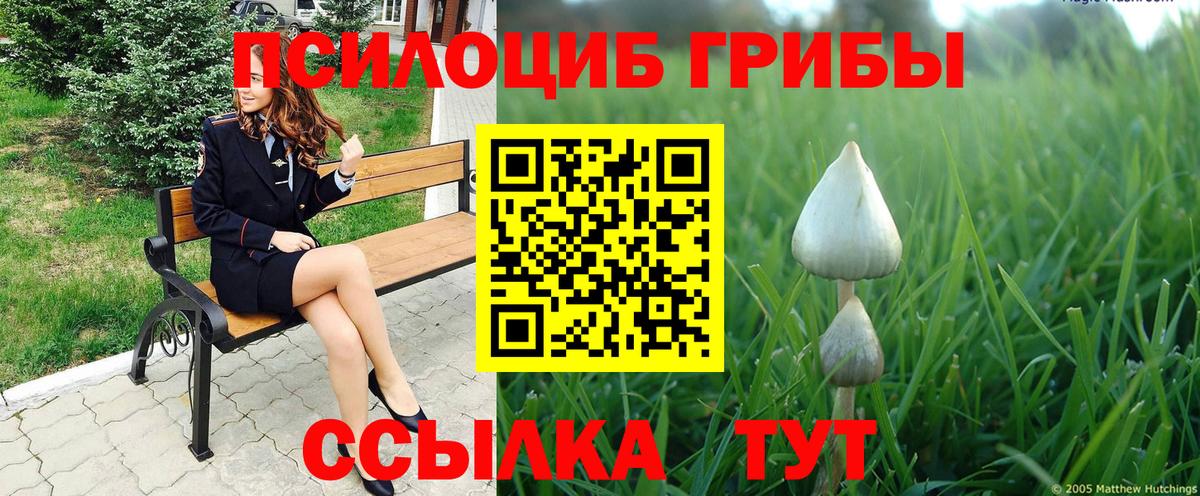 Кингисепп  Псилоцибиновые грибы ЛСД  Вход с VPN 