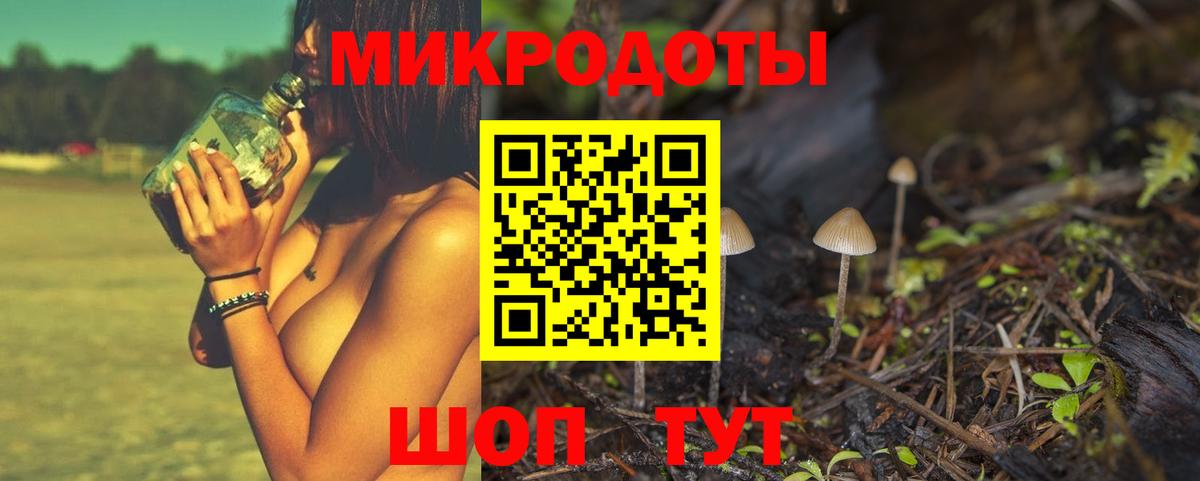Галлюциногенные грибы Psilocybine cubensis Кингисепп